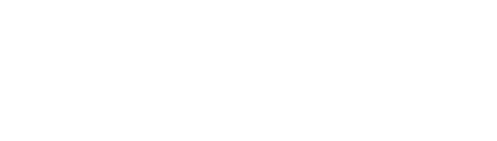 Craig T Steichen, DDS - Precision Dental Care Logo White